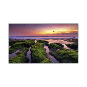 Pantalla Profesional LED de 55", UHD 4K (3840x2160p), Entradas de Video HDMI, Bocinas Integradas de 10 W. Compatible VESA